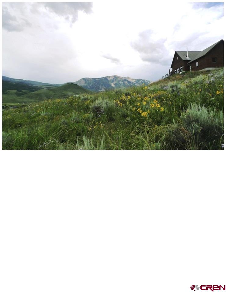 60 Zeligman Street Crested Butte, CO 81224 - Photo 7 of 15