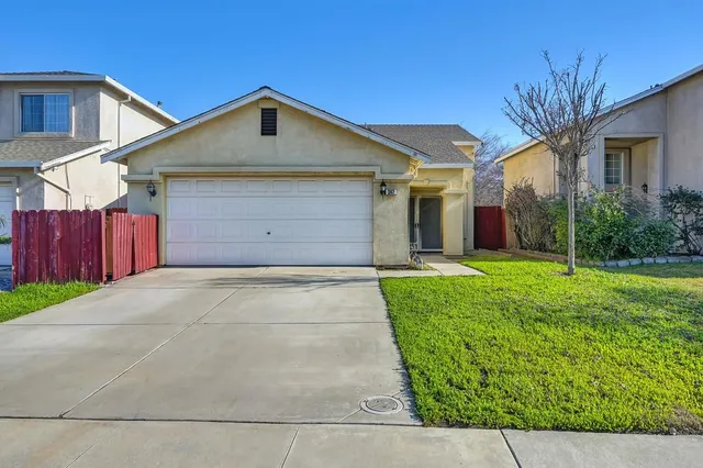 a view of a backyard with couches plants and large trees
