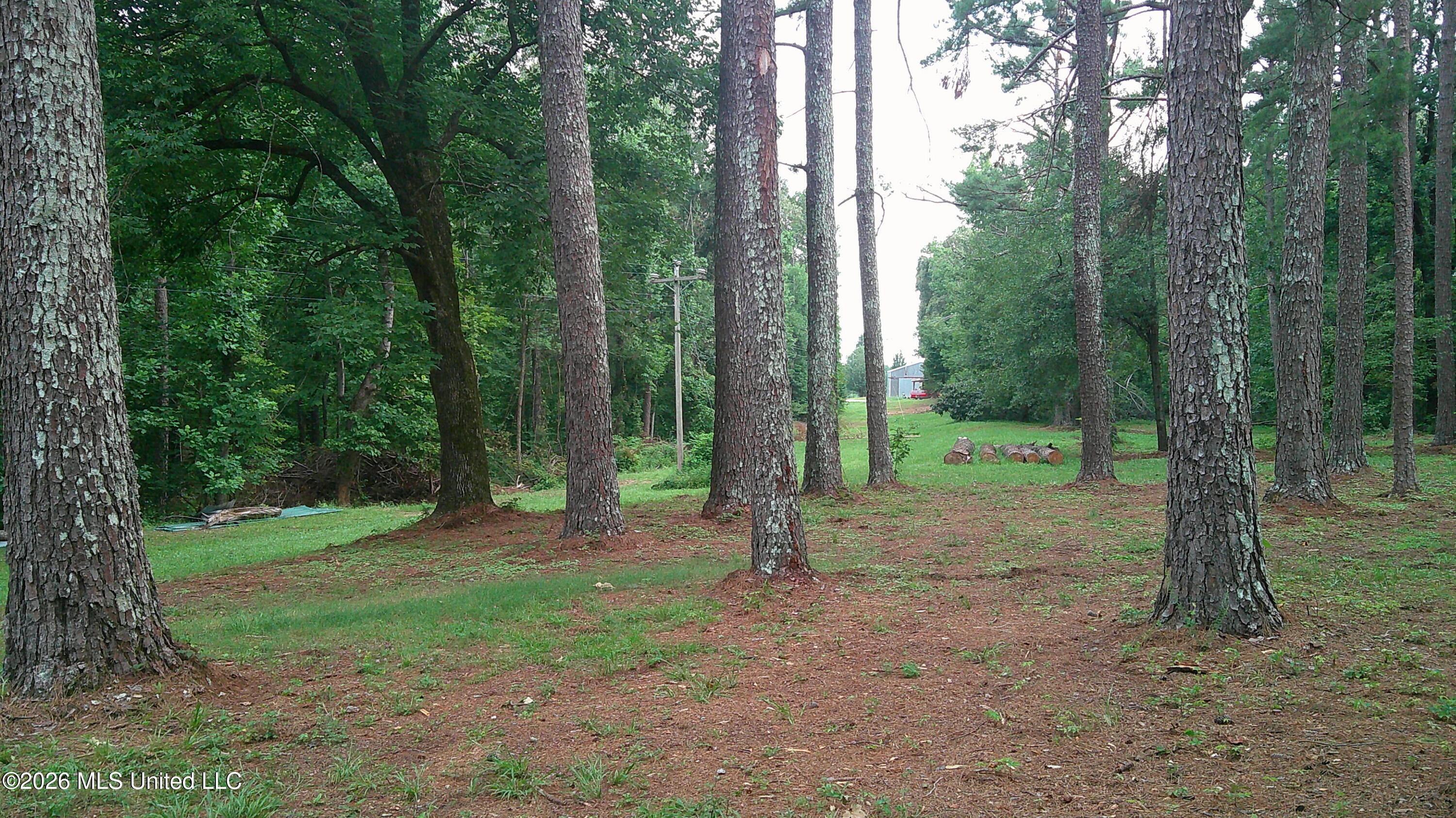 4580 County Road 701 Ripley, MS 38663 - Photo 3 of 30 DSCF0494