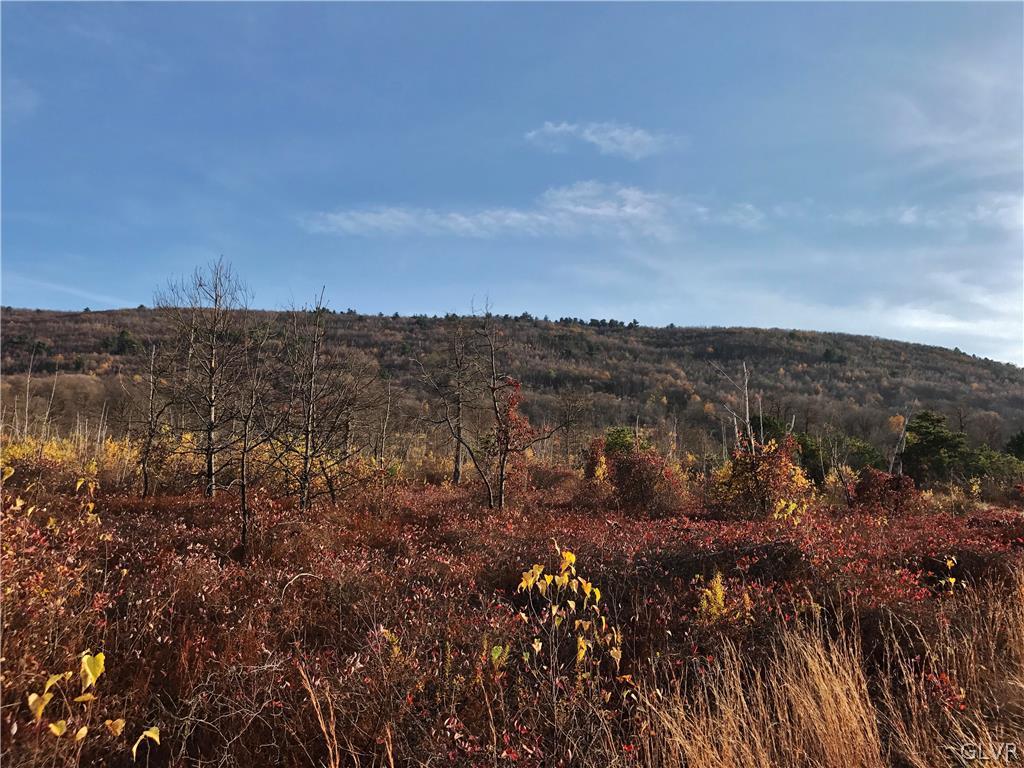 Lizard Creek Road Lehighton, PA 18235 - Photo 2 of 7 Gallery Image 2