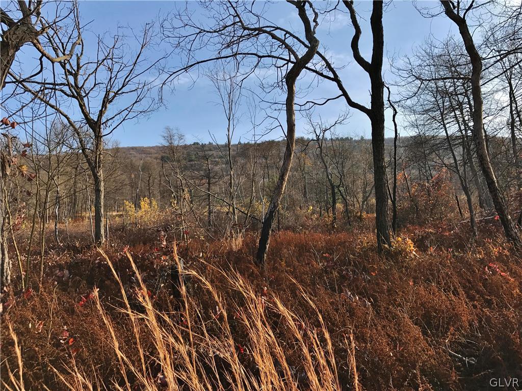 Lizard Creek Road Lehighton, PA 18235 - Photo 3 of 7 Gallery Image 3