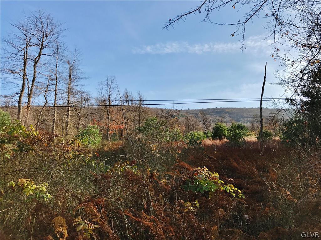 Lizard Creek Road Lehighton, PA 18235 - Photo 4 of 7 Gallery Image 4