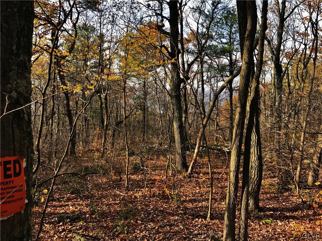 Lizard Creek Road Lehighton, PA 18235 - Photo 6 of 7 Gallery Image 6