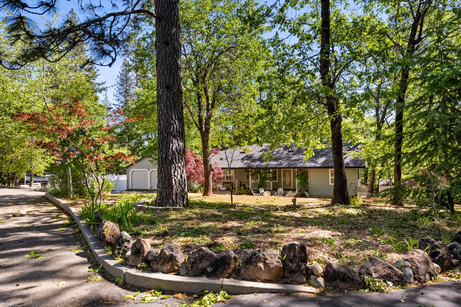 a view of a yard with plants