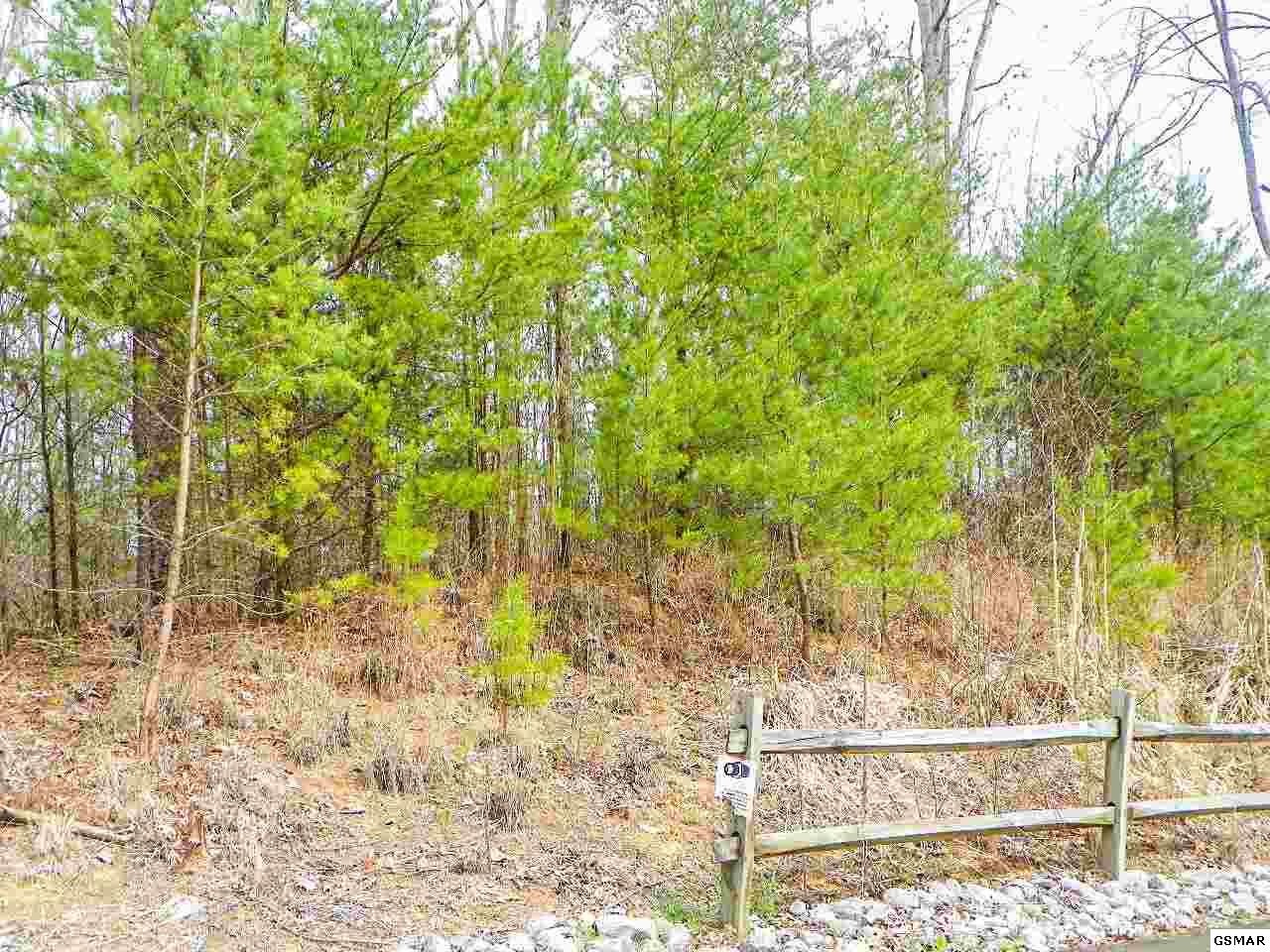 6 Shadyview Ridge Road Sevierville, TN 37876 - Photo 5 of 8 Gallery Image 5