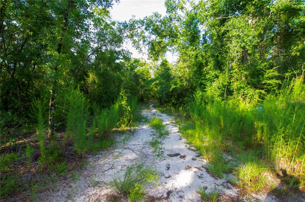 18233 185th Road Live Oak, FL 32060 - Photo 56 of 99