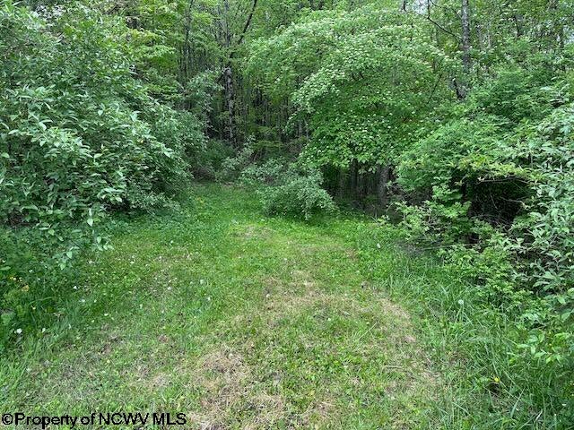 Tbd Moyer Hollow Road Elkins, WV 26241 - Photo 17 of 20 Gallery Image 17