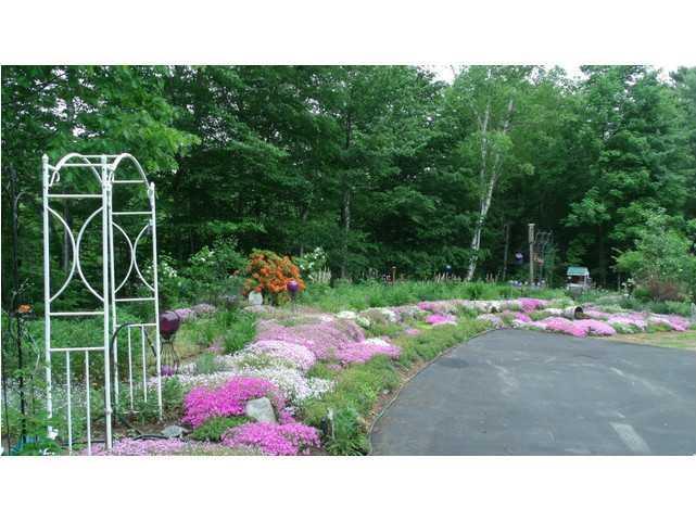 487 Intervale Road Temple, ME 04984 - Photo 14 of 22 Yard/Garden.