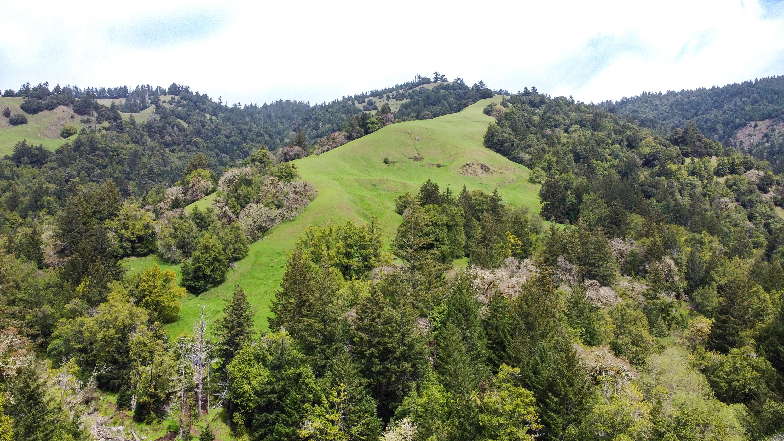 4001 Conklin Creek Road Ferndale, CA 95536 - Photo 47 of 125