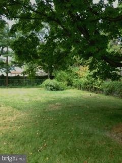 832 South Glebe Road Arlington, VA 22204 - Photo 3 of 17 Exterior (Rear)