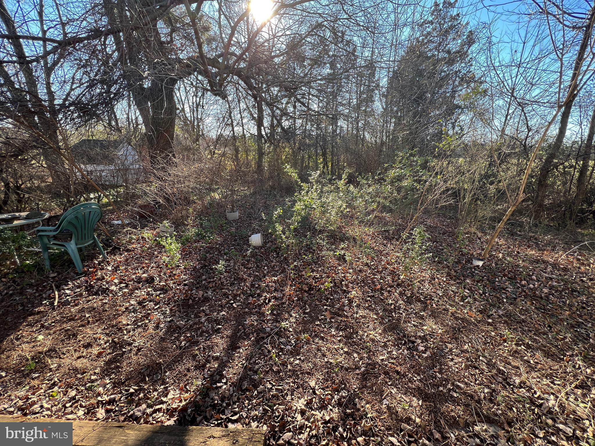 509 West Nettle Tree Road Sterling, VA 20164 - Photo 15 of 18