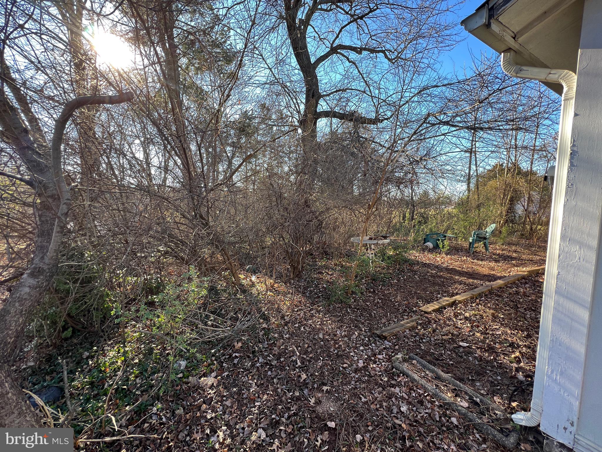 509 West Nettle Tree Road Sterling, VA 20164 - Photo 18 of 18