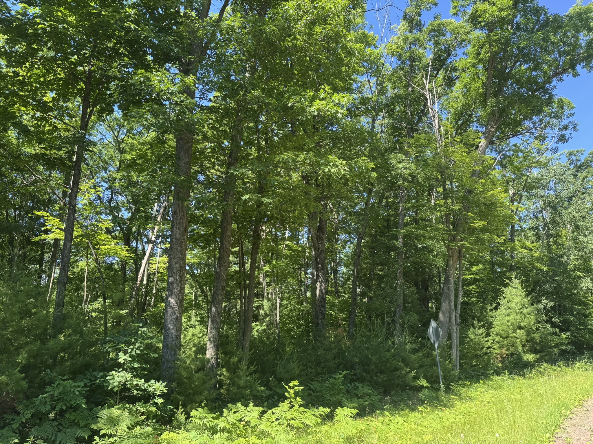 Xx Bean Brk Lane Stone Lake, WI 54876 - Photo 10 of 16