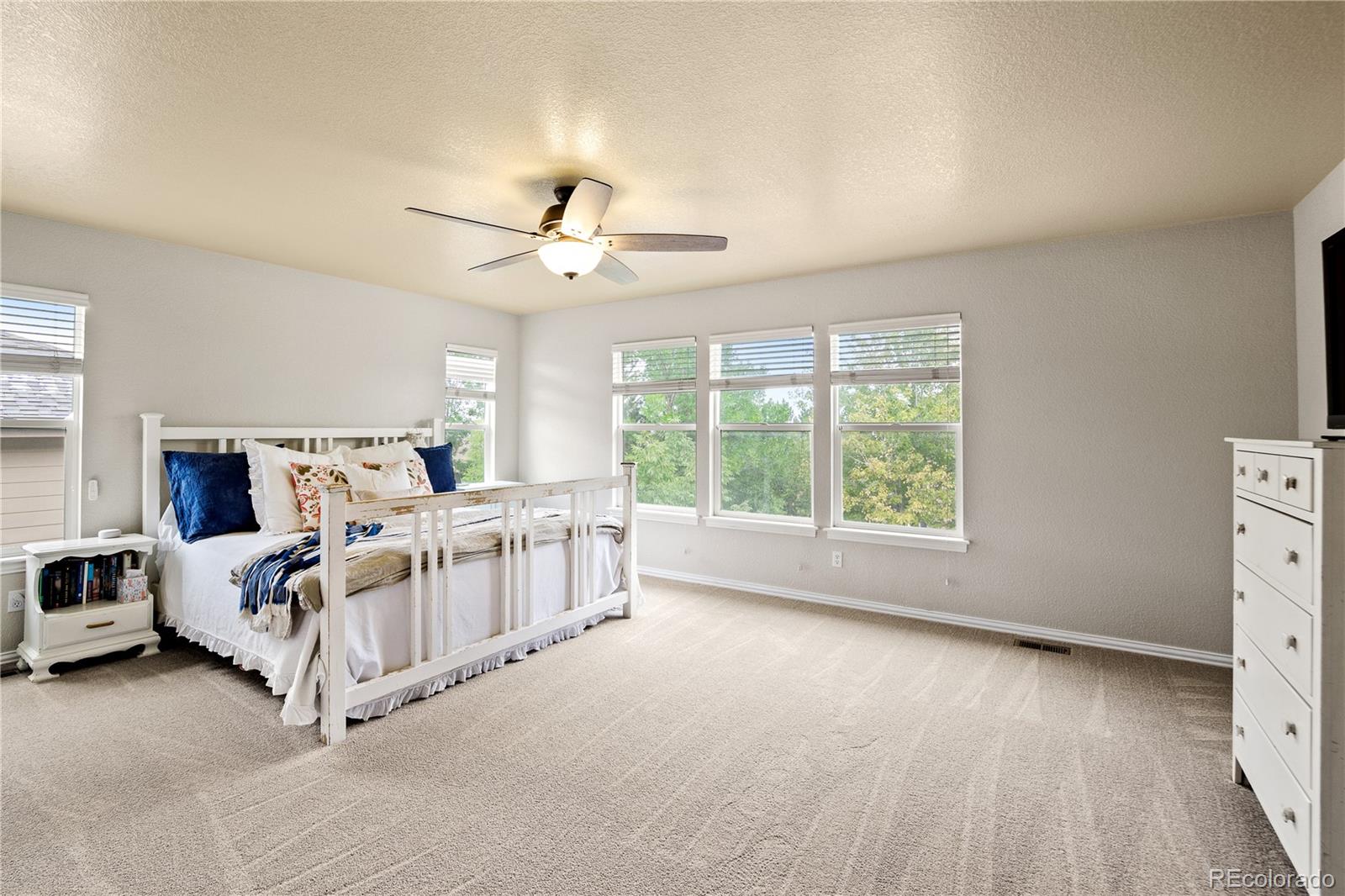 3255 Chandon Way Highlands Ranch, CO 80126 - Photo 21 of 40 Gallery Image 21