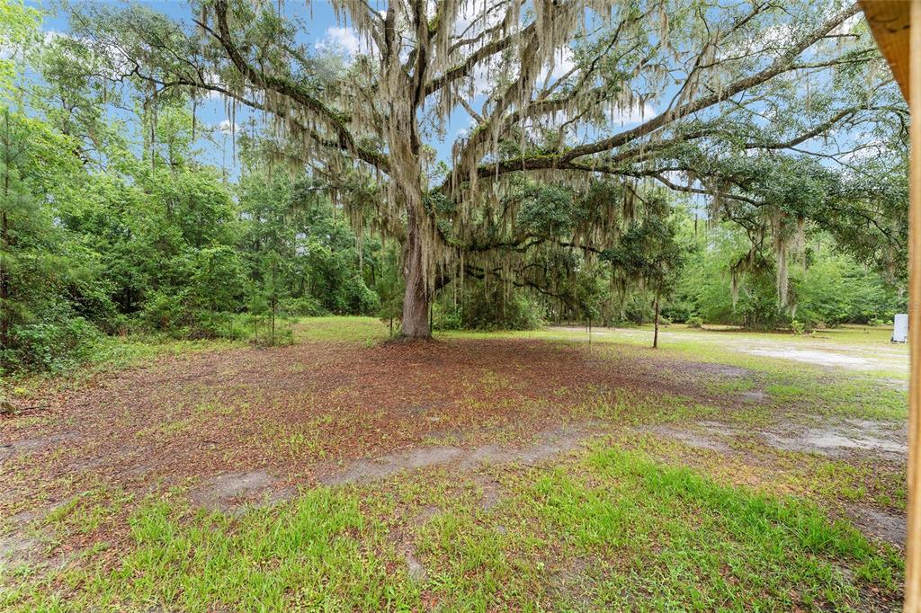 6028 Southwest 91st Place Lake Butler, FL 32054 - Photo 49 of 67