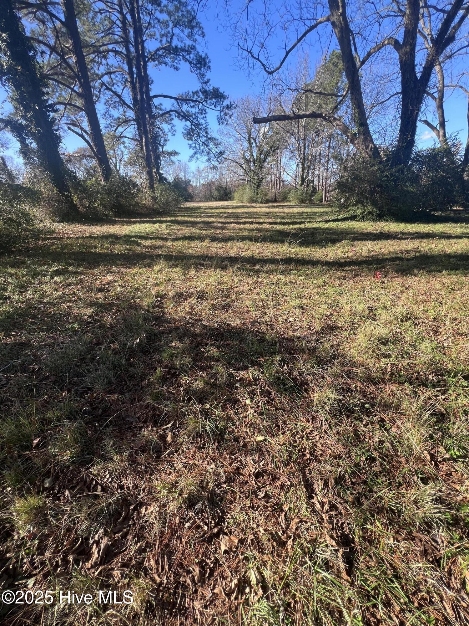 Tbd River Road Elizabeth City, NC 27909 - Photo 4 of 7 IMG_0514