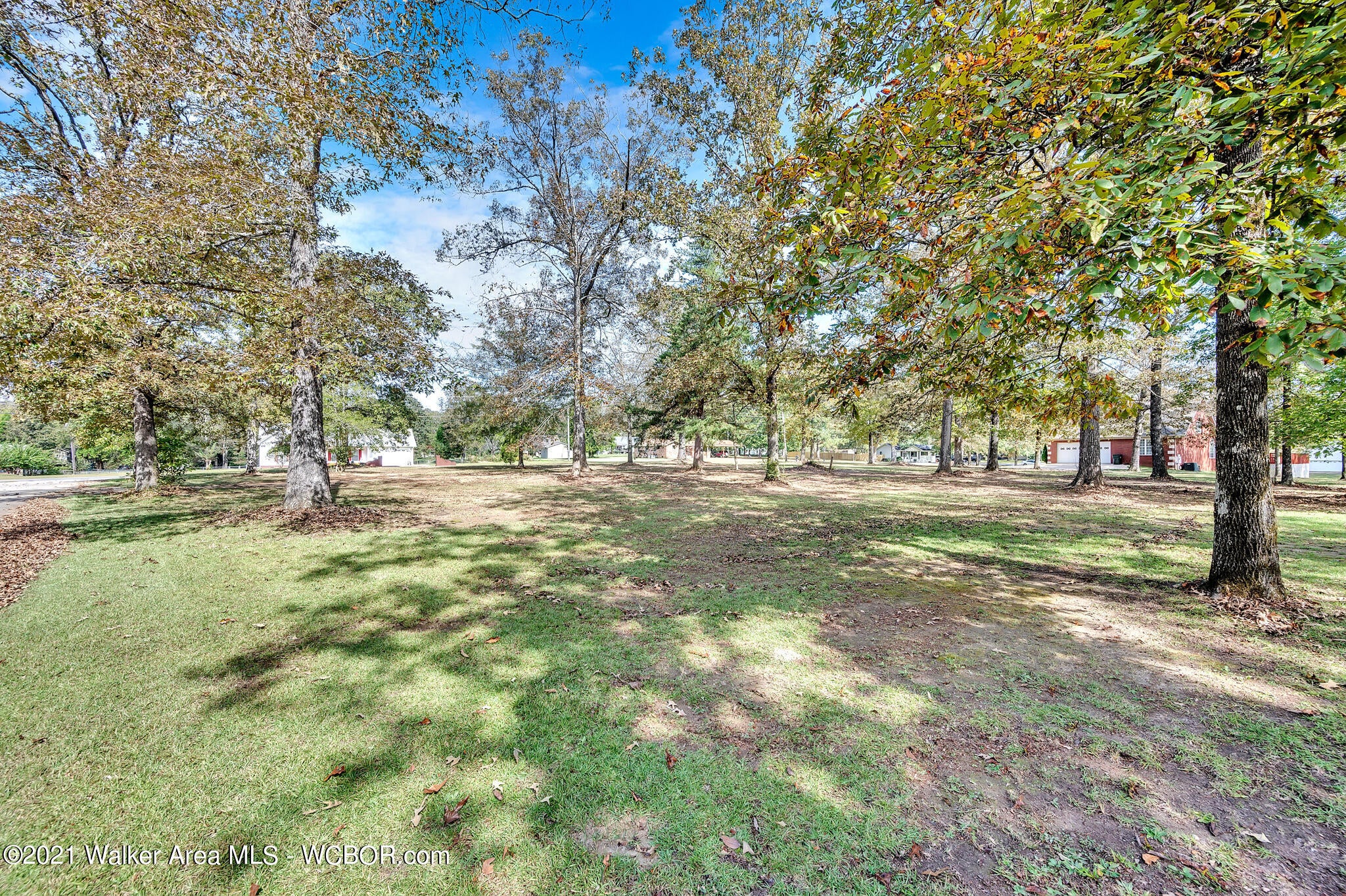 1111 Brakefield Dairy Road Jasper, AL 35503 - Photo 48 of 50 Gallery Image 48