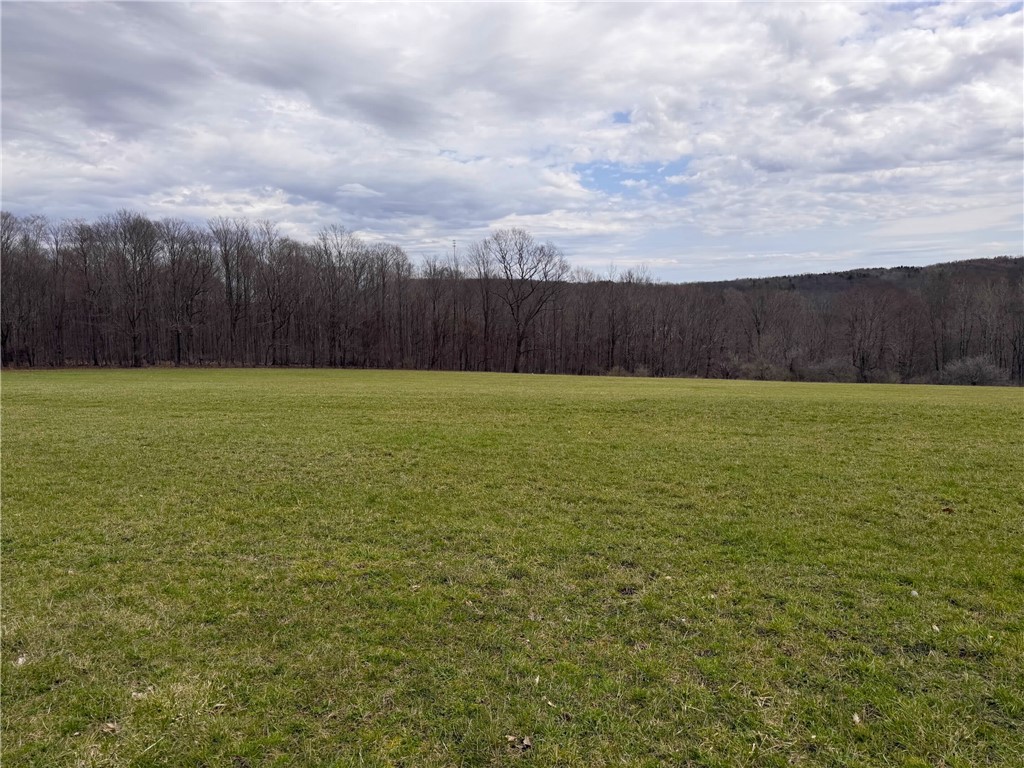 Lot 7 Summit Road Cuba, NY 14727 - Photo 19 of 31