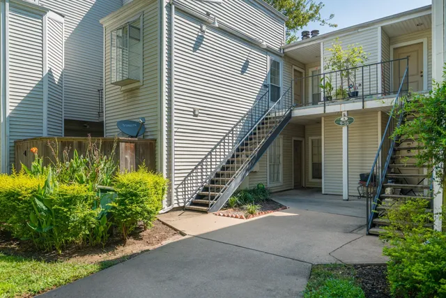 a potted plant sitting in front of a house
