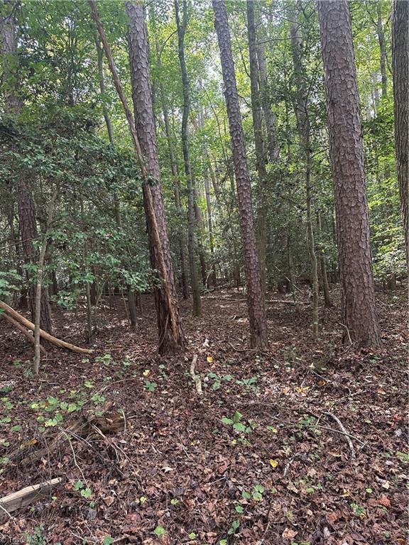 5747 Lou Cranford Road Denton, NC 27239 - Photo 11 of 12