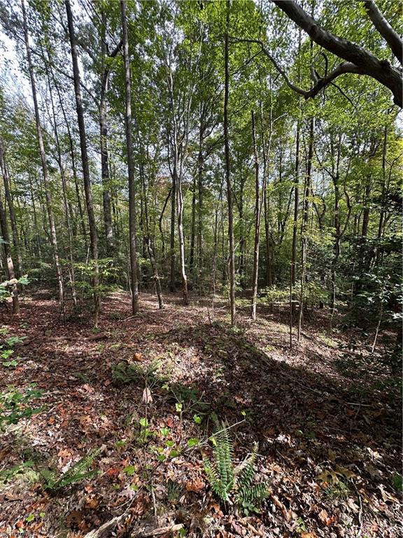 5747 Lou Cranford Road Denton, NC 27239 - Photo 2 of 12