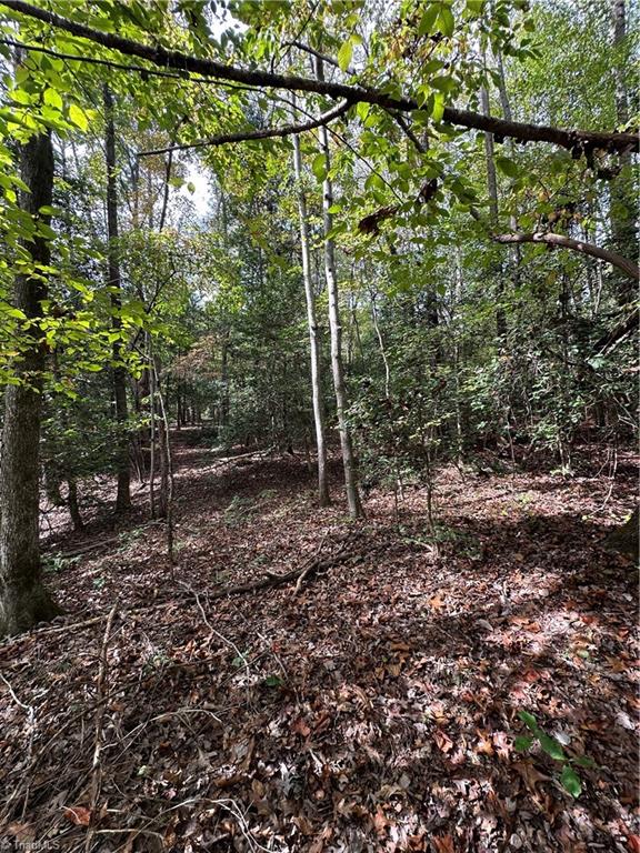 5747 Lou Cranford Road Denton, NC 27239 - Photo 3 of 12