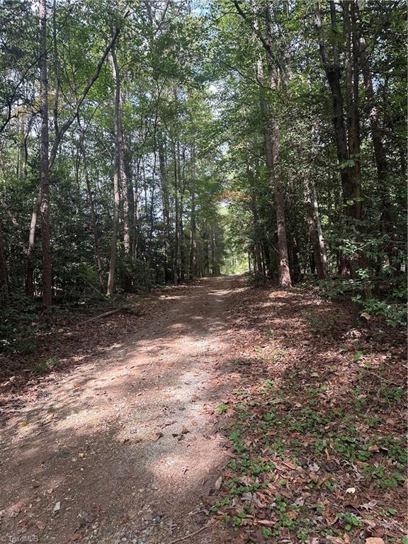 5747 Lou Cranford Road Denton, NC 27239 - Photo 9 of 12