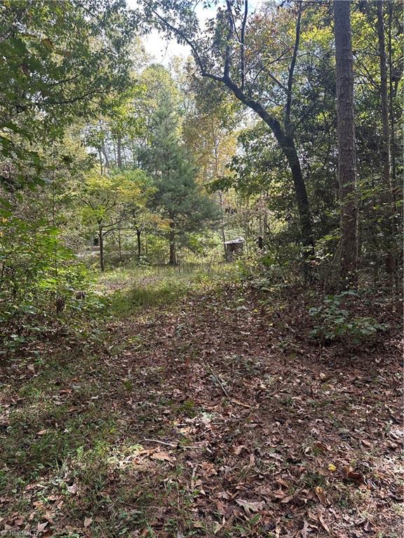 5747 Lou Cranford Road Denton, NC 27239 - Photo 10 of 12