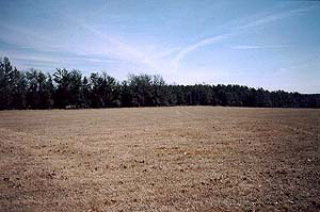 0 Four 4 Oaks Road Salley, SC 29137 - Photo 1 of 1
