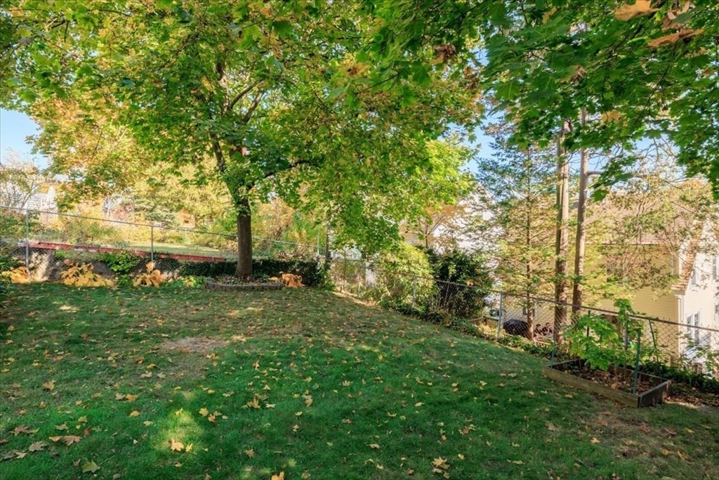 40 Chisholm Road Boston, MA 02131 - Photo 25 of 33 a view of backyard with green space
