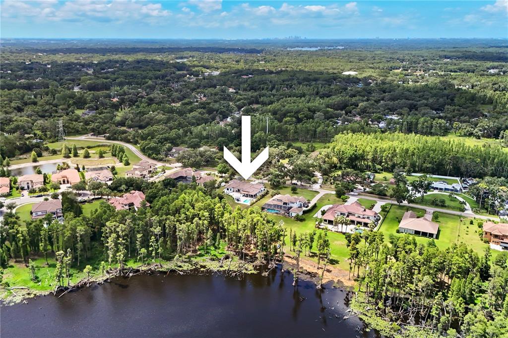 3317 Crenshaw Lake Road Lutz, FL 33548 - Photo 6 of 72
