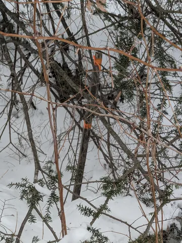 $299,900 | 58-6-2 Duggin Road, Wilton, NH 03086