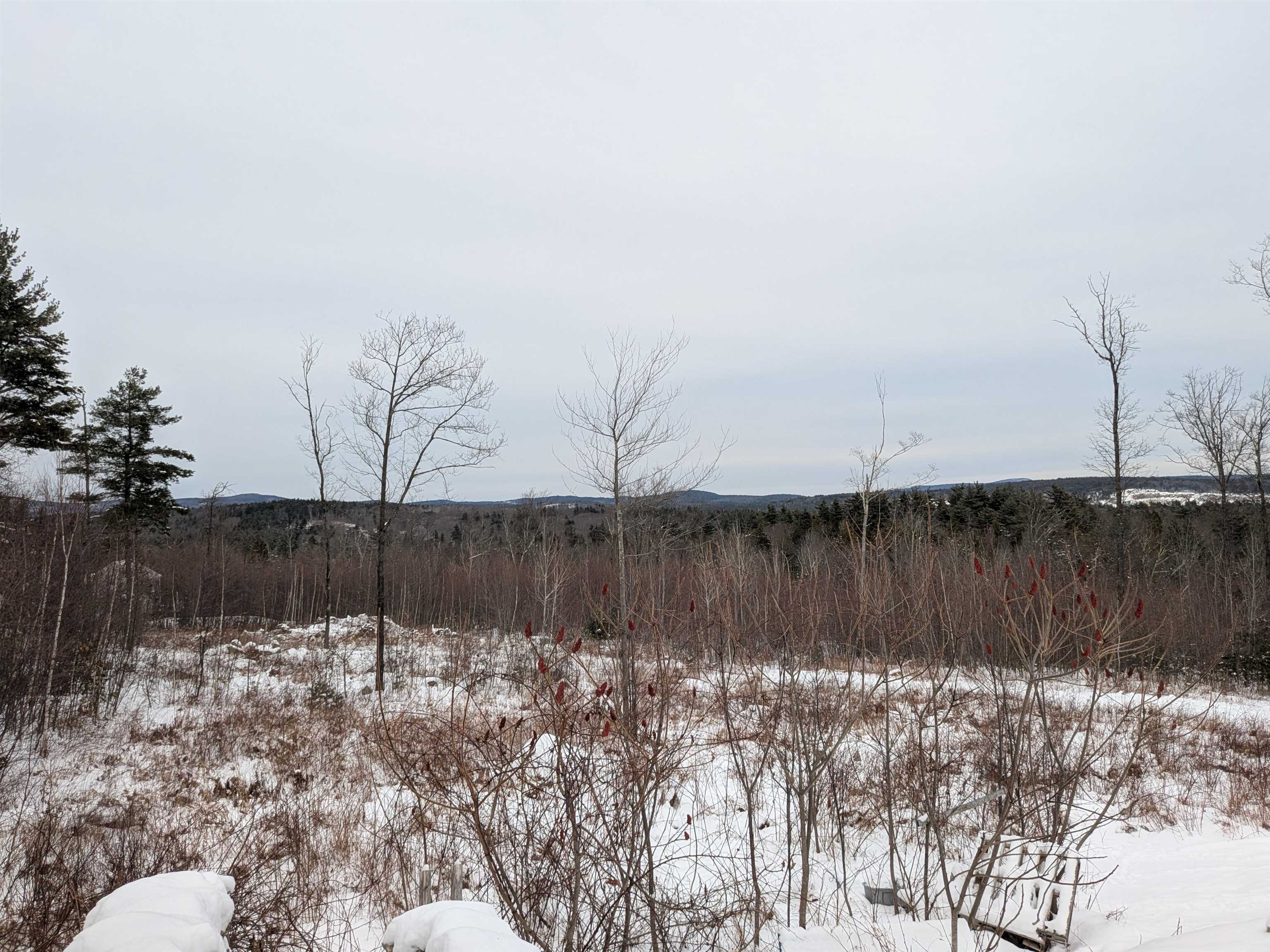 58-6-2 Duggin Road Wilton, NH 03086 - Photo 6 of 14