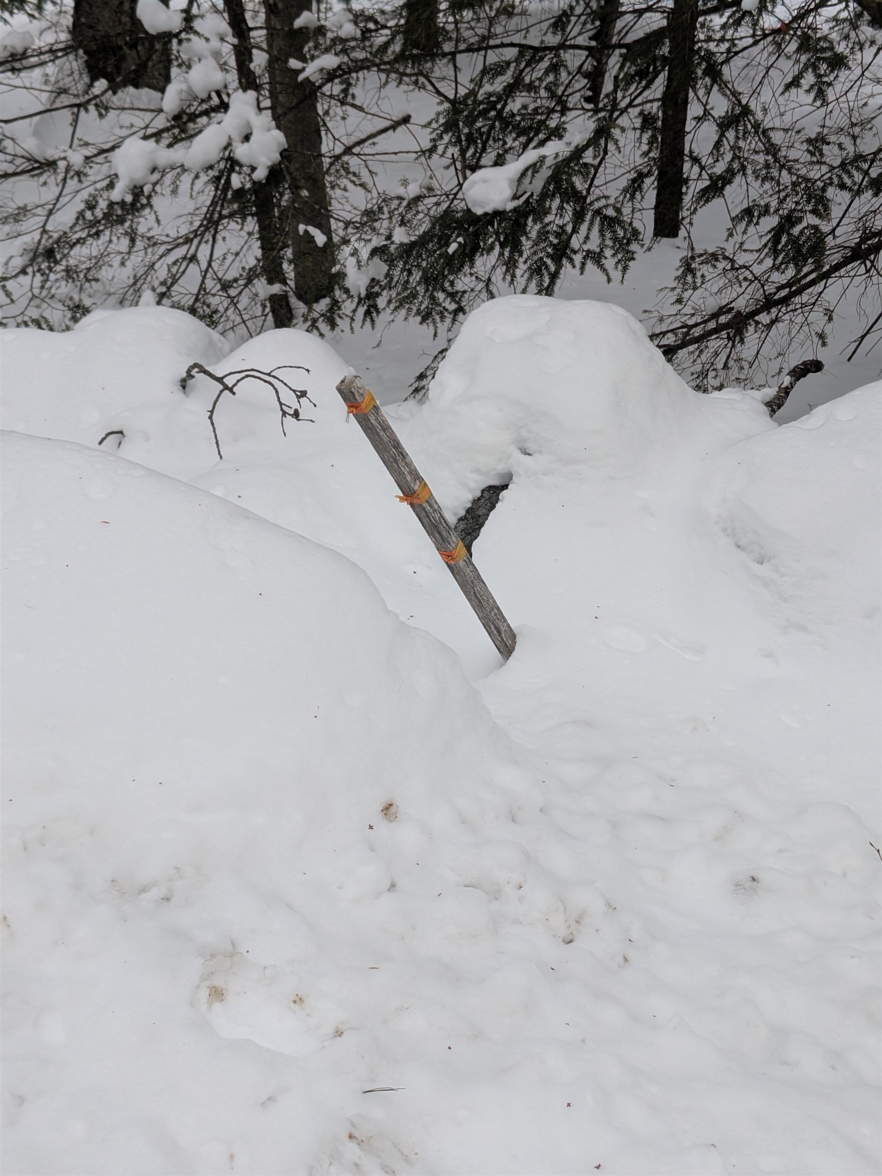 58-6-2 Duggin Road Wilton, NH 03086 - Photo 10 of 14