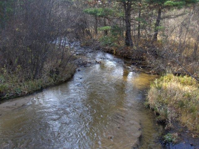 Nelson Road Idlewild, MI 49642 - Photo 1 of 10 Primary Photo