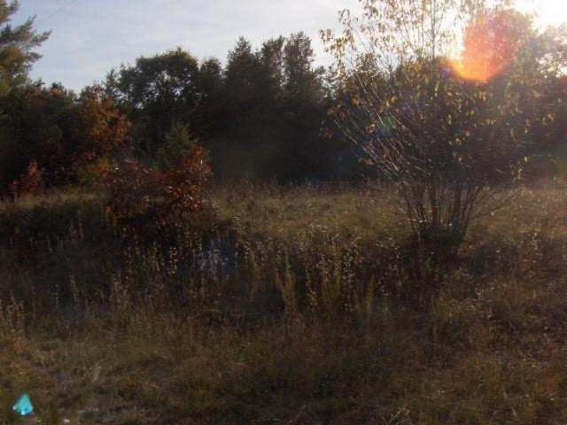 Nelson Road Idlewild, MI 49642 - Photo 2 of 10 Additional Photo