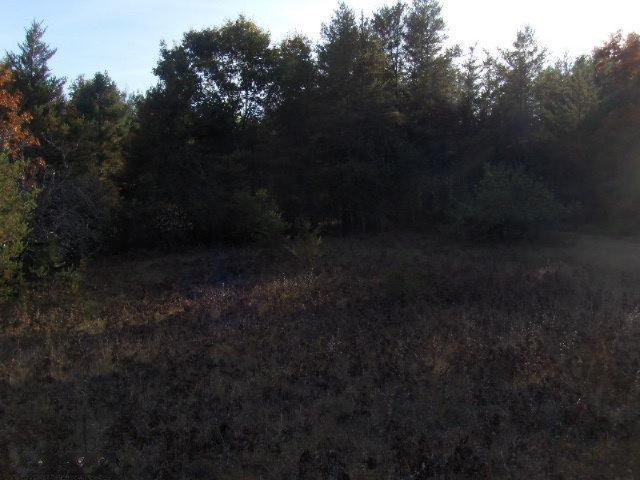 Nelson Road Idlewild, MI 49642 - Photo 3 of 10 Additional Photo