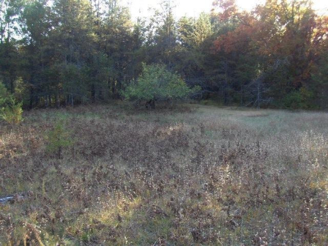Nelson Road Idlewild, MI 49642 - Photo 4 of 10 Additional Photo