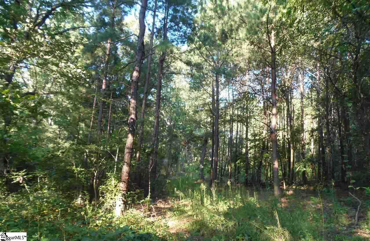 495 Turkey Farm Road Chesnee, SC 29323 - Photo 4 of 9