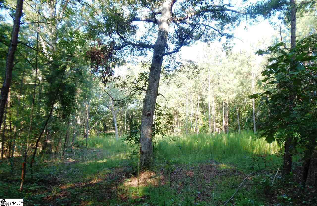 495 Turkey Farm Road Chesnee, SC 29323 - Photo 5 of 9
