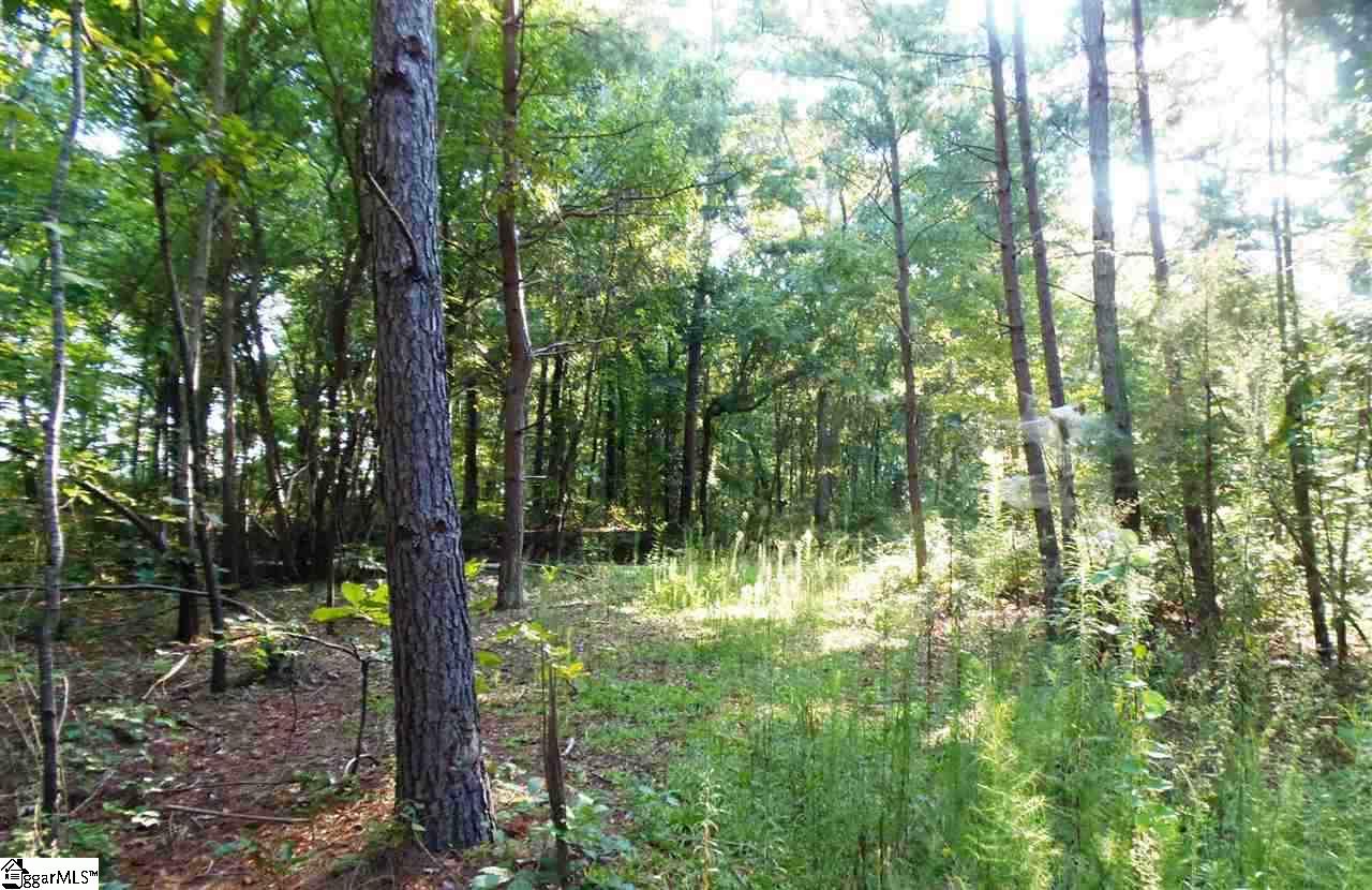 495 Turkey Farm Road Chesnee, SC 29323 - Photo 6 of 9