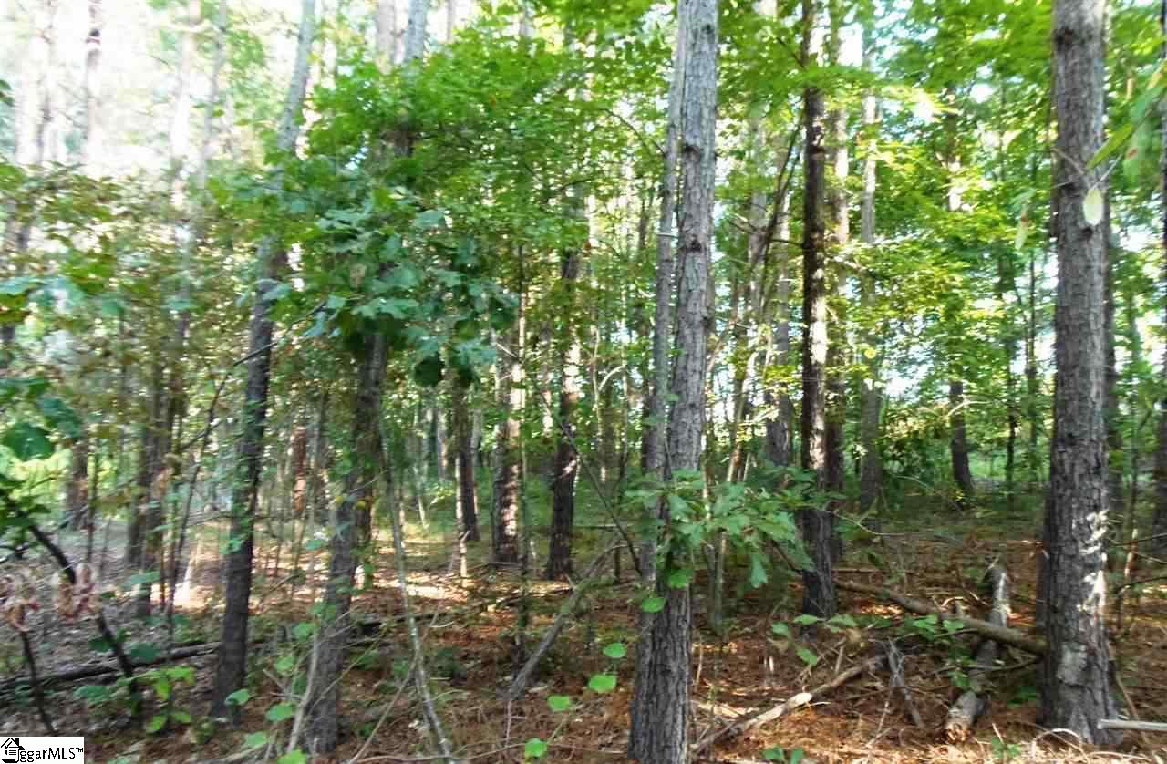 495 Turkey Farm Road Chesnee, SC 29323 - Photo 7 of 9