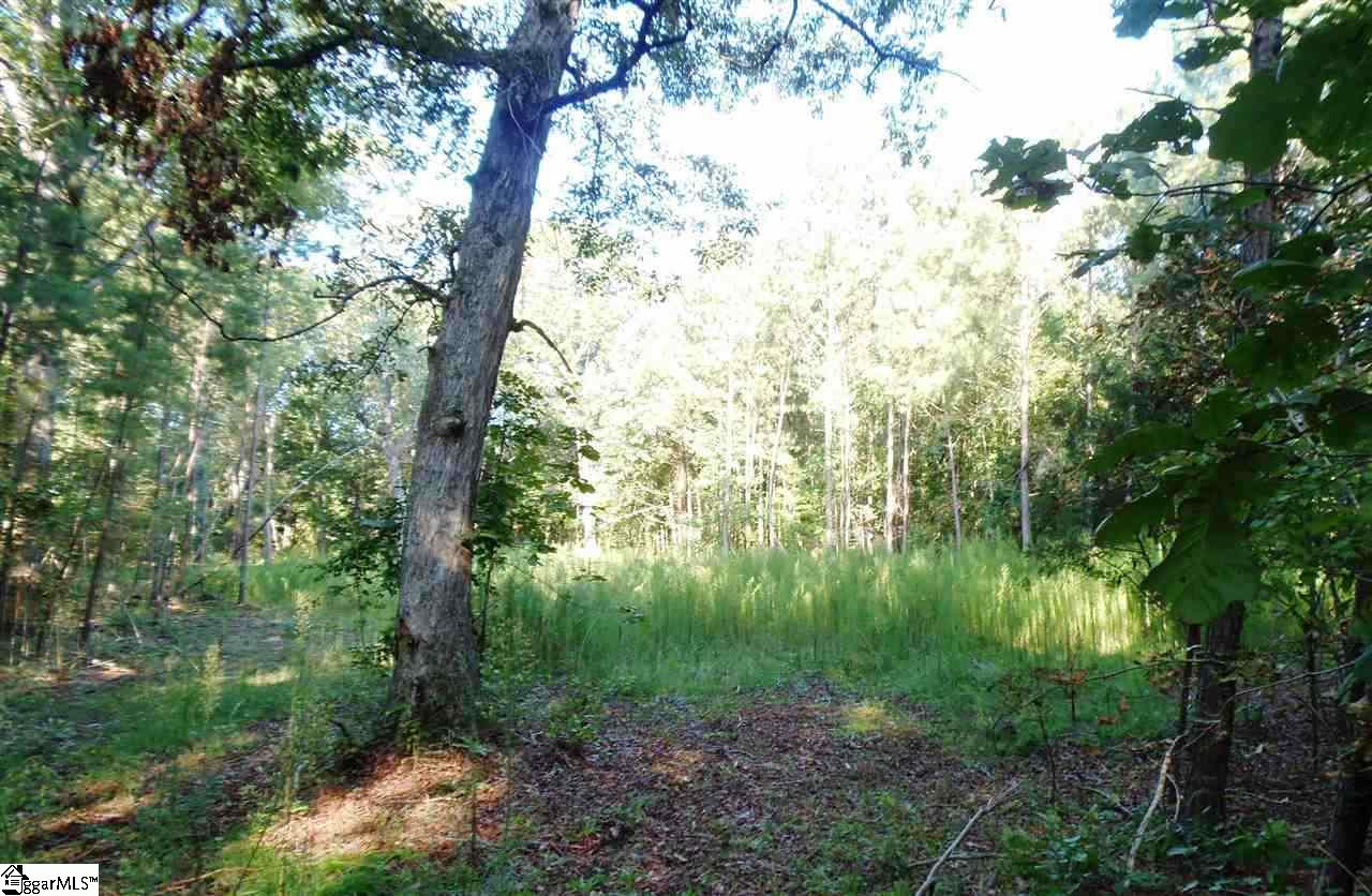 495 Turkey Farm Road Chesnee, SC 29323 - Photo 9 of 9