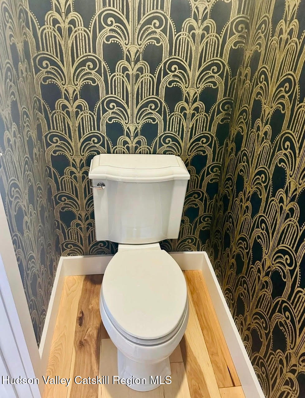 412 Main Street, Unit 3 Catskill, NY 12414 - Photo 13 of 16 a white toilet sitting next to a shower curtain