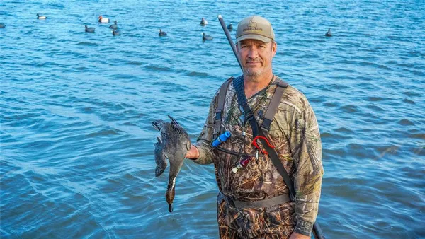 an aerial view of a yard