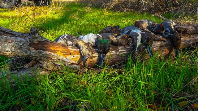 $2,000,000 | Unk Camp Creek Road, Temple, TX 76501