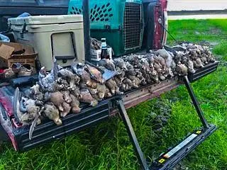 a view of water heater room