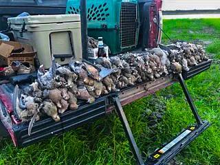 Unk Camp Creek Road Temple, TX 76501 - Photo 25 of 40