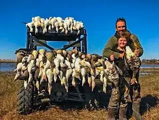 a view of a lake in a backyard