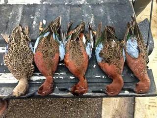 Unk Camp Creek Road Temple, TX 76501 - Photo 29 of 40